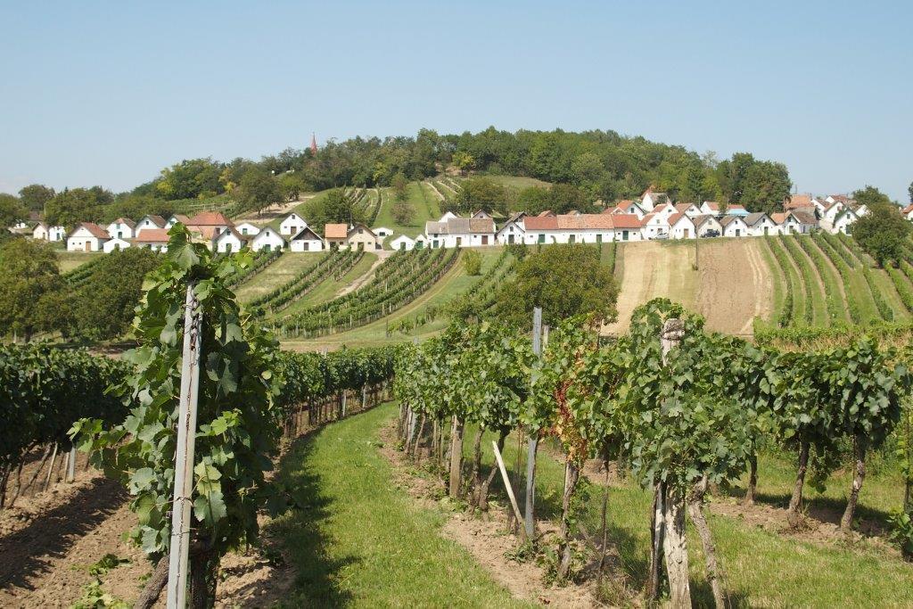 Gaestehaus Weinviertel - Niederoesterreich Siebenhirten Luaran gambar